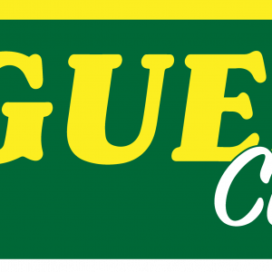 Nogueira Cleaning – Logo Renewal